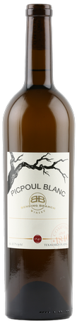 2024 Picpoul Blanc, Texas High Plains