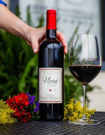 2019 Ursa Mencía Case Special