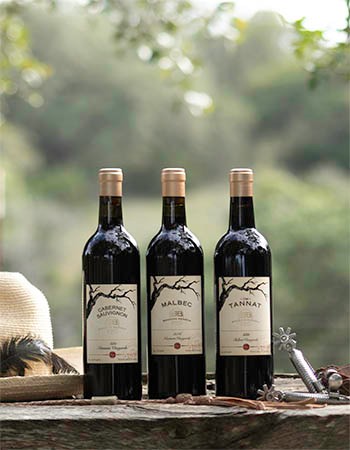 Texas Wine Month Trio