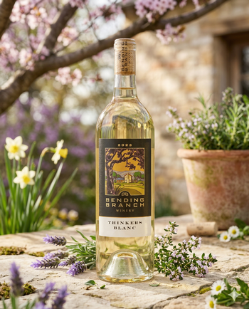 Thinkers Blanc 6-Pack