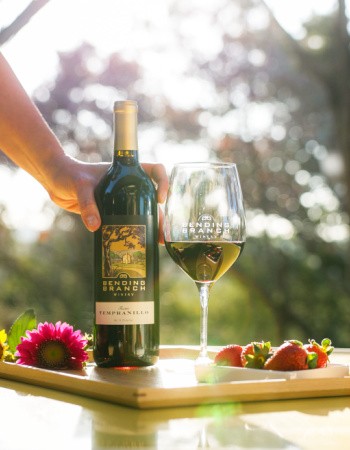 Case Special - 2020 Texas Tempranillo