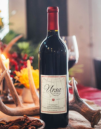 Case Special - 2014 Ursa Tannat