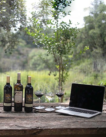 Virtual Wine Tasting - 2 p.m. on Saturday, October 17