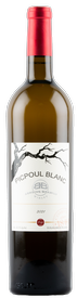 2021 Picpoul Blanc, Texas High Plains