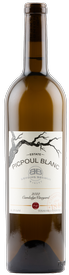 2022 Estate Picpoul Blanc, Camledge Vineyard