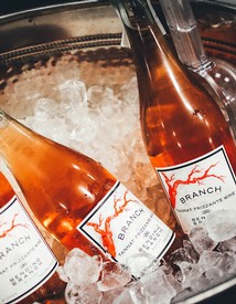 ADD ON SPECIAL Frizzante 3 pack-1840/CASE