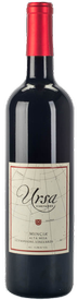 2019 Mencía, Silvaspoons Vineyards
