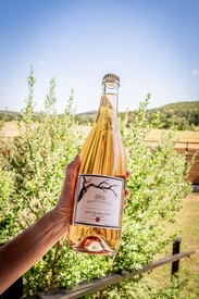 2025 Sparkling Rosé, Y Knot Vineyard