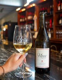 Case Special - 2021 Ursa Chardonnay