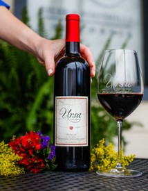 2019 Ursa Mencía Case Special