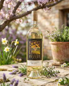 Thinkers Blanc 6-Pack