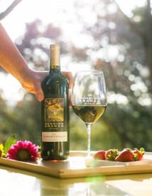 Case Special - 2020 Texas Tempranillo