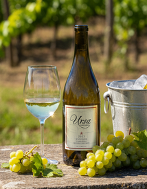2023 Ursa Viognier Case Special